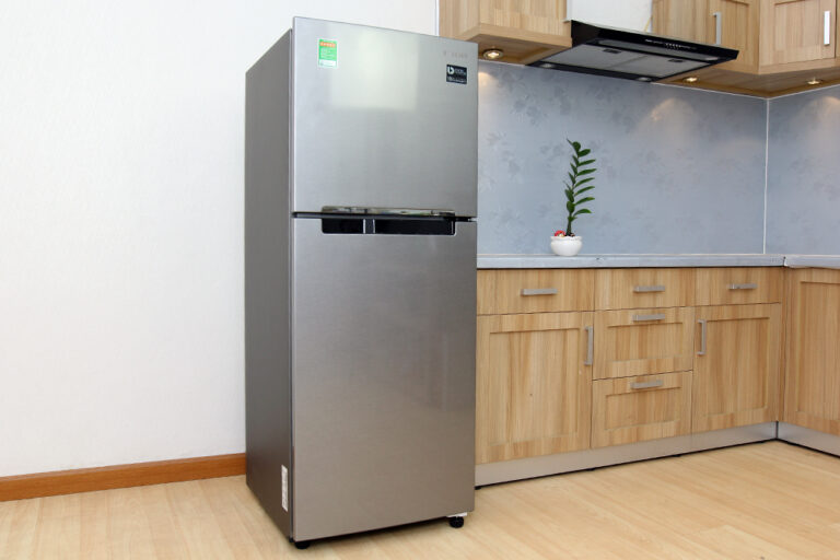 tu-lanh-samsung-rt20har8dsa-sv-thuvien-1.jpg