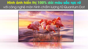 tivi_samsung_3_b314adab1c80478eaca5c80d839a30c6.jpg